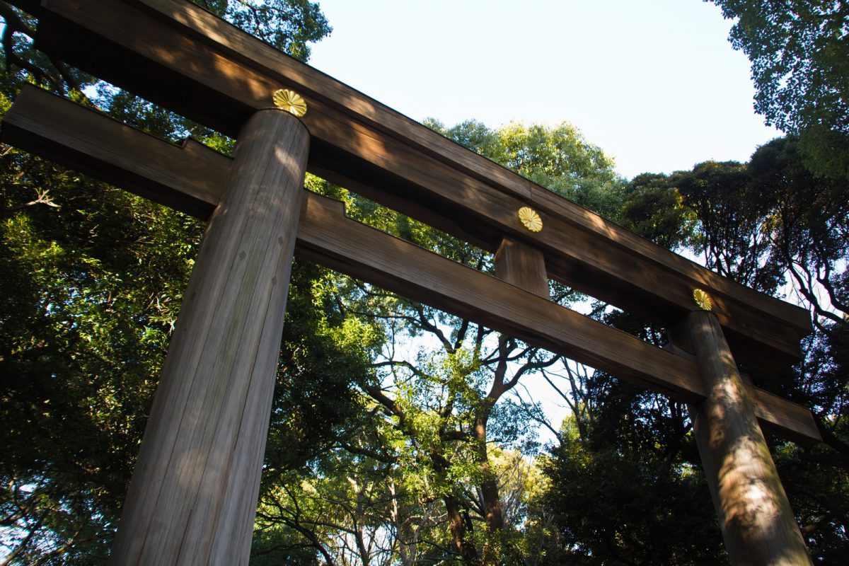 明治神宮の鳥居