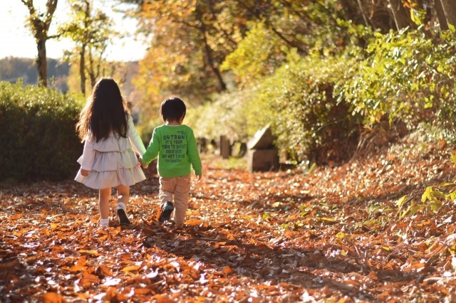 落ち葉の上を歩く2人の子供