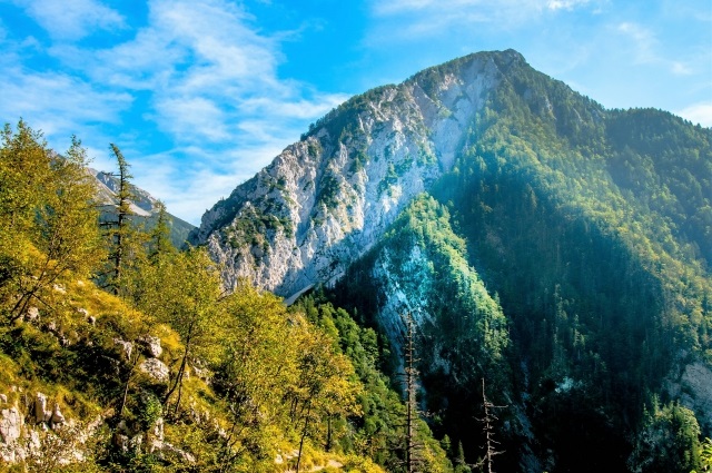 大自然の山