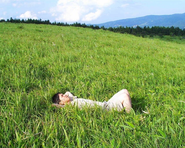草原で寝転ぶ